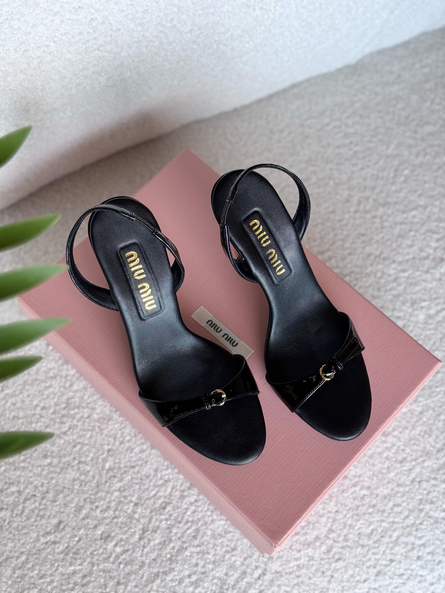Miu Miu