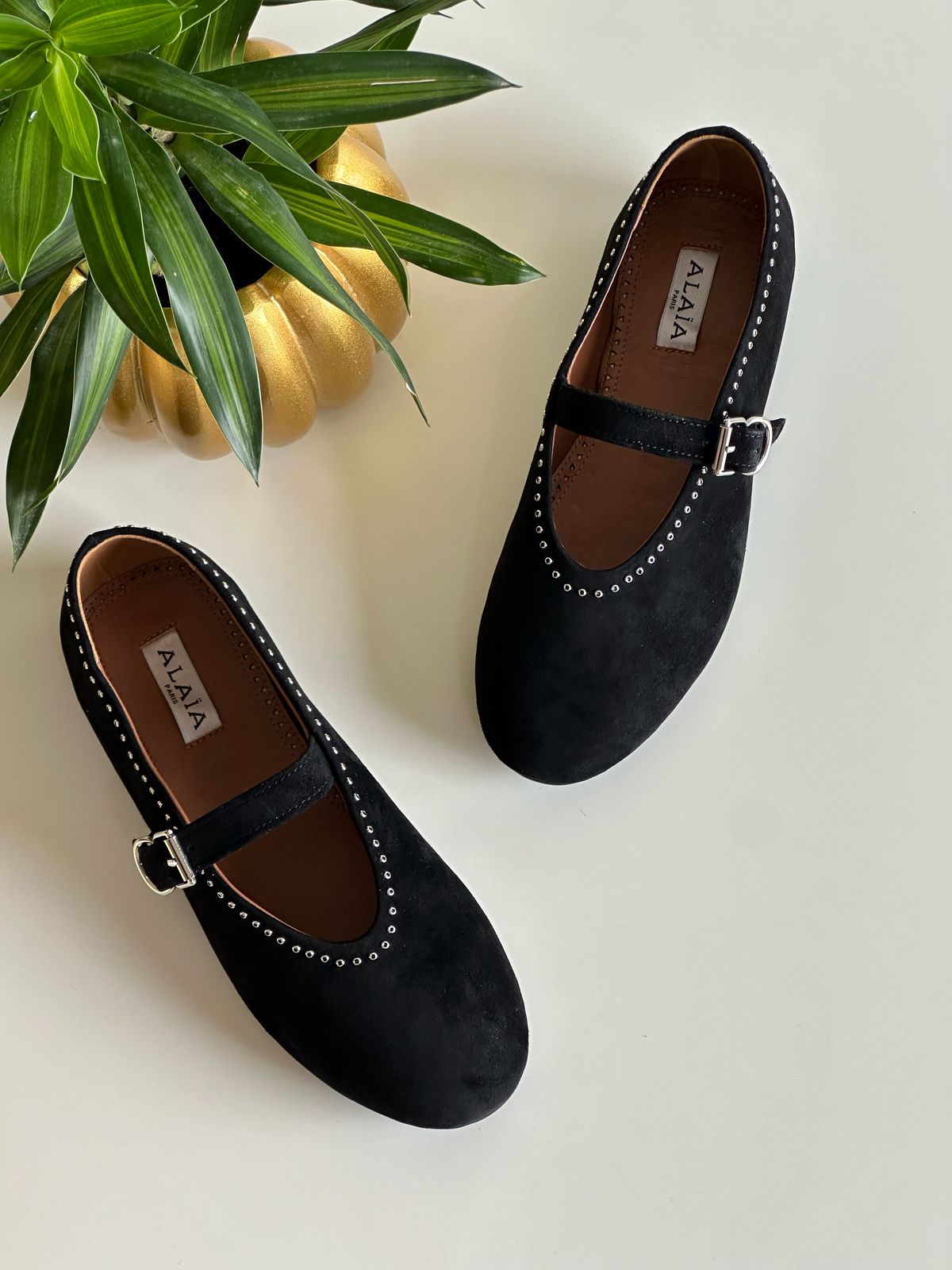 Alaia