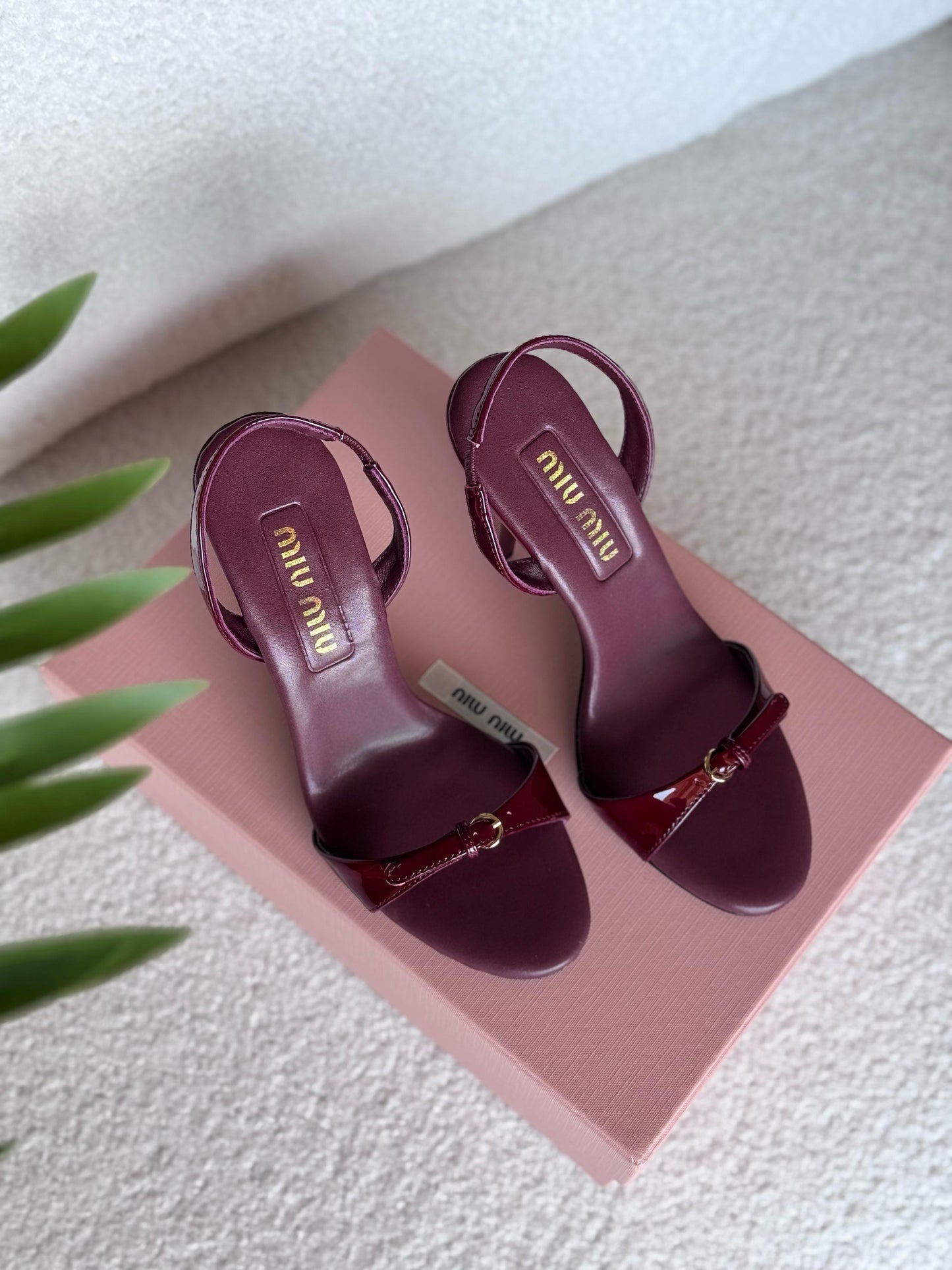 Miu Miu