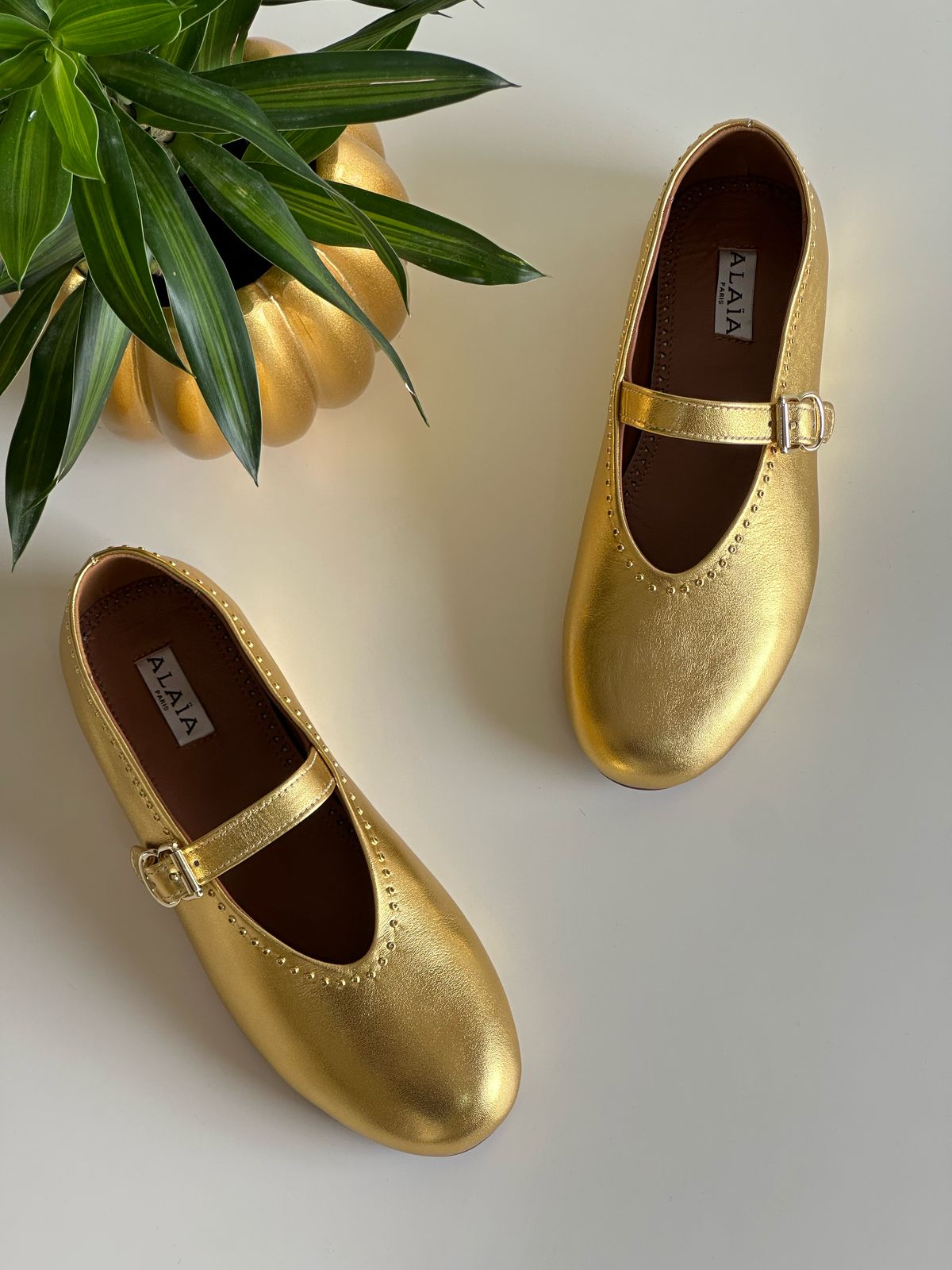 Alaia
